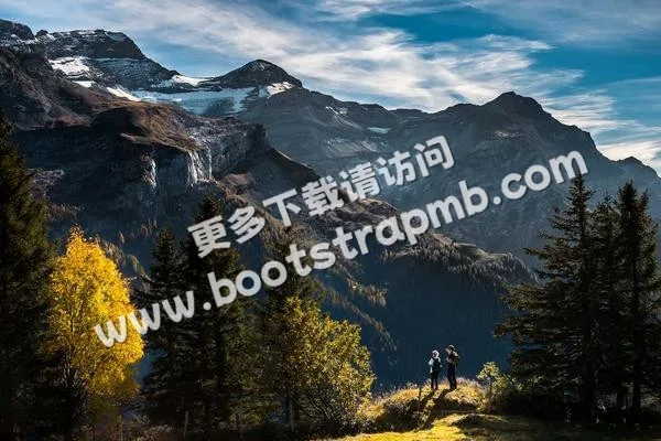 ⊞ Portfolio - 爱游戏体育APP