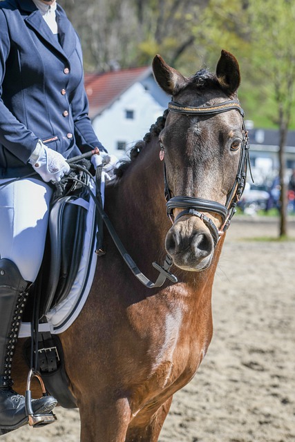 更加难以预 更加难以预