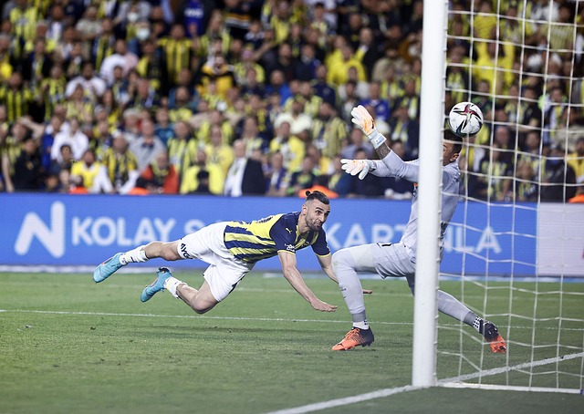 王艺迪和申 王艺迪和申