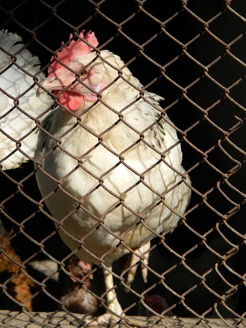 詹姆斯已经 詹姆斯已经