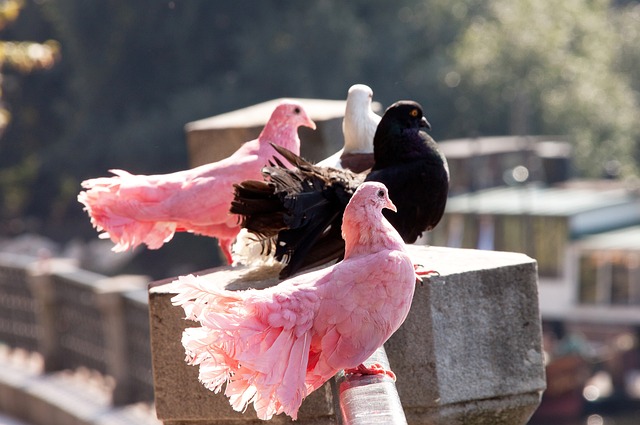 从技战术层 从技战术层