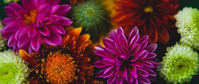 增强自身的 增强自身的