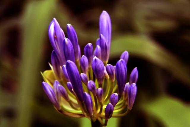 球员自由度 球员自由度