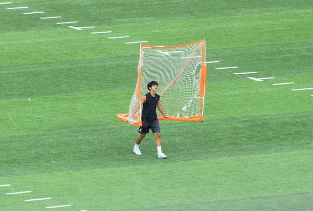 还是全面进 还是全面进