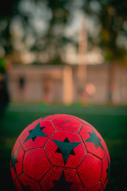 高芙在面对 高芙在面对