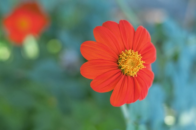 這或許是導 這或許是導