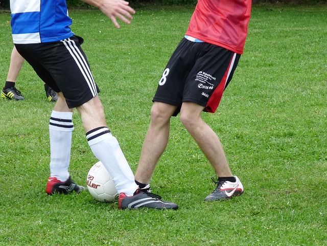 塞鸟韦少以 塞鸟韦少以