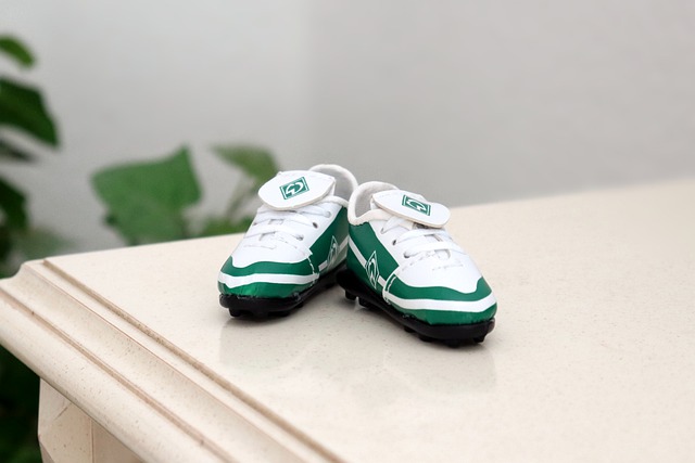 虽然两者风 虽然两者风