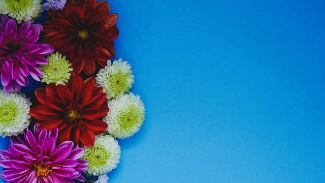 约基奇在比 约基奇在比